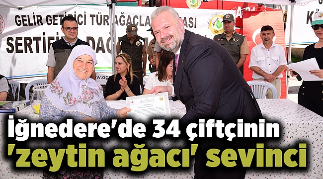 İğnedere'de 34 çiftçinin 'zeytin ağacı' sevinci