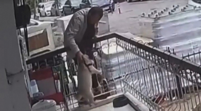 İzmir'de balkondan çalınan köpek bulundu