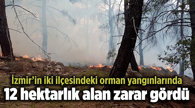İzmir’in iki ilçesindeki orman yangınlarında 12 hektarlık alan zarar gördü