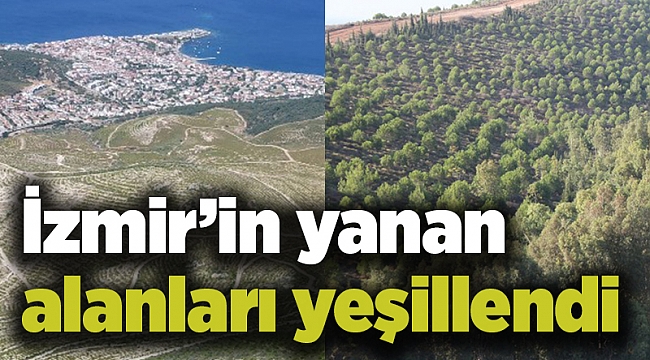 İzmir’in yanan alanları yeşillendi