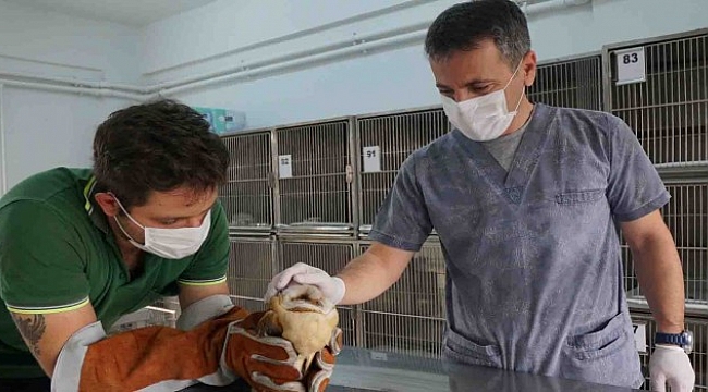 Konak'ta can dostlara eksiksiz hizmet