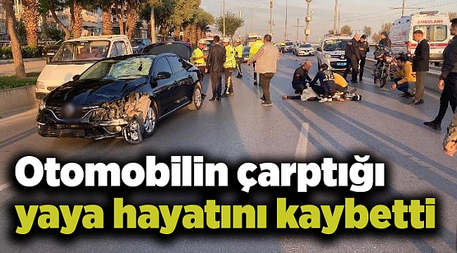 Otomobilin çarptığı yaya hayatını kaybetti