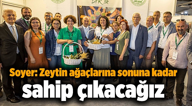 Soyer: Zeytin ağaçlarına sonuna kadar sahip çıkacağız