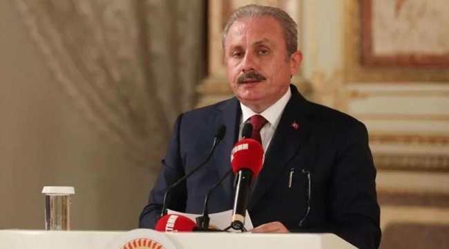 TBMM Başkanı Şentop, dokuz ülkenin Meclis ve Senato başkanları ile görüştü