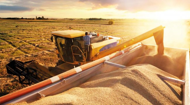 Ukrayna tahılı Romanya’dan dünyaya açılıyor