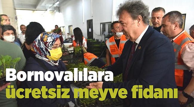 Bornovalılara  ücretsiz meyve fidanı