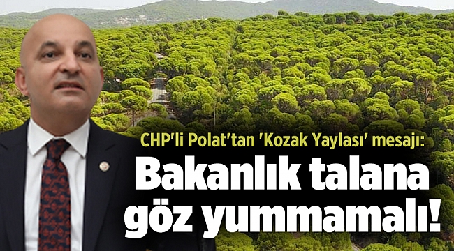 CHP&#039;li Polat&#039;tan &#039;Kozak Yaylası&#039; mesajı: Bakanlık talana göz yummamalı!