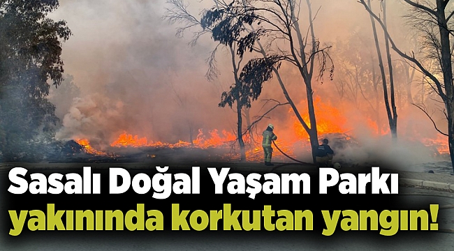 Doğal Yaşam Parkı yakınında korkutan yangın!