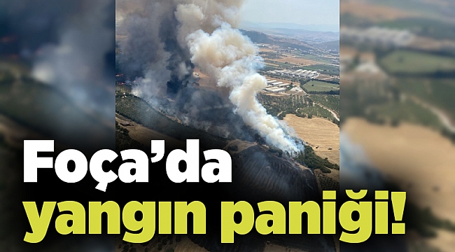 Foça’da yangın paniği!