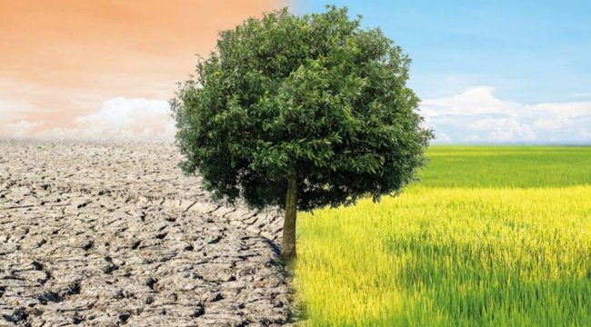 İklim değişikliğiyle mücadelede yeni dönem