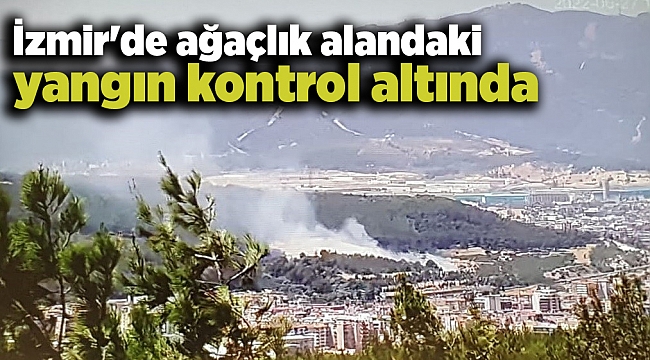 İzmir'de ağaçlık alanda yangın kontrol altında