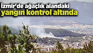 İzmir'de ağaçlık alanda yangın kontrol altında