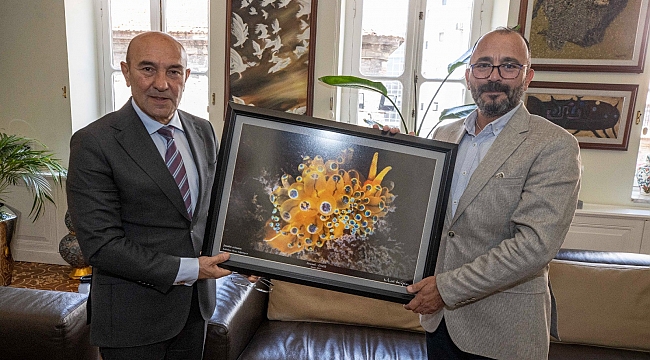 İzmir Körfezi'nde bir ilk