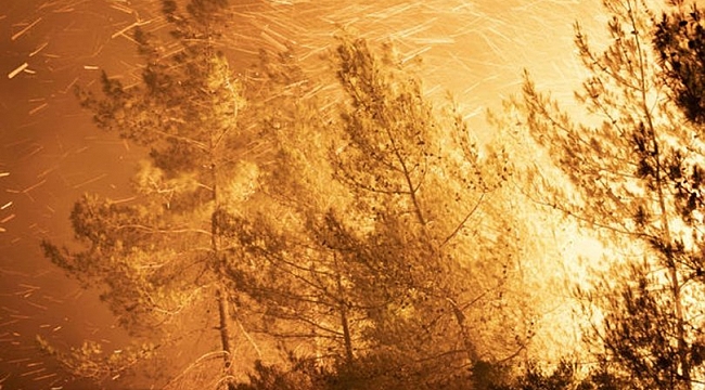 Marmaris'te yangın! Müdahale sürüyor