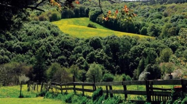 Resmi Gazete&#039;de yayımlandı: Kesin korunacak hassas alan ilan edildi