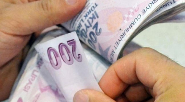 ‘TL’nin cazibesini arttıracak uygulamalara devam’