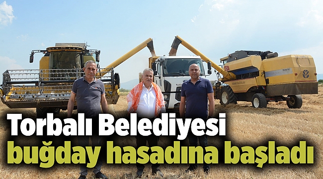 Torbalı Belediyesi buğday hasadına başladı