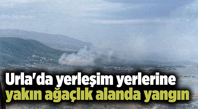 Urla&#039;da yerleşim yerlerine yakın ağaçlık alanda yangın