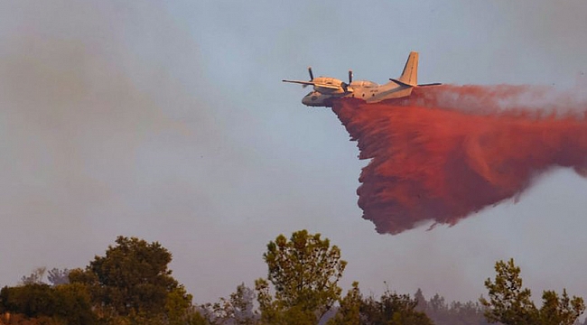 Aydın'da yangın kısmen kontrol altında