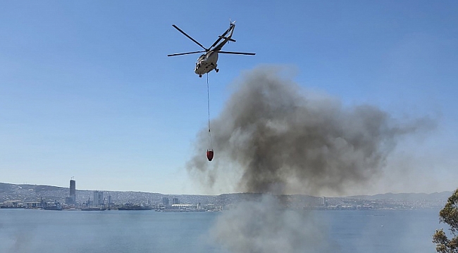 Bayraklı'da otluk alanda yangın paniği