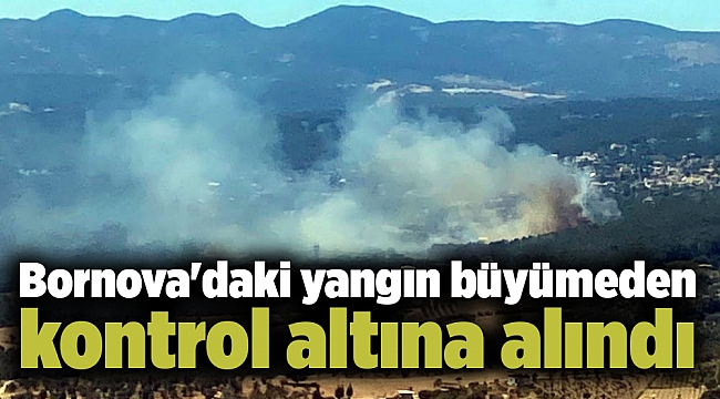 Bornova'daki yangın büyümeden kontrol altına alındı