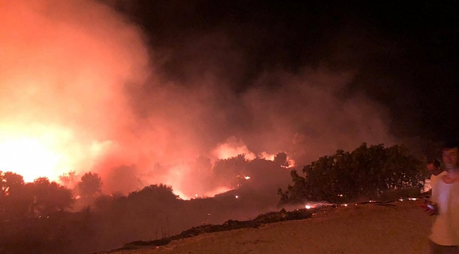 Çeşme'de çıkan yangın kontrol altında