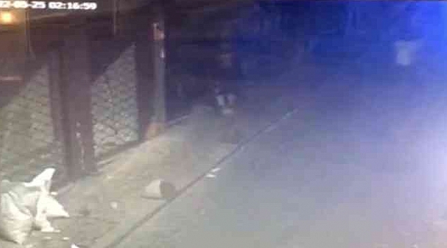 Cinsel ilişki için anlaştılar, hayatlarının şokunu yaşadılar