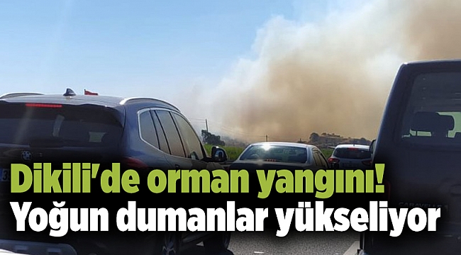 Dikili'de orman yangını! Yoğun dumanlar yükseliyor