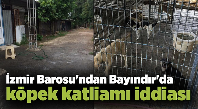 İzmir Barosu'ndan Bayındır'da köpek katliamı iddiası