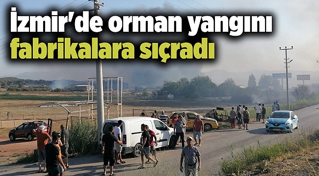İzmir'de orman yangını fabrikalara sıçradı