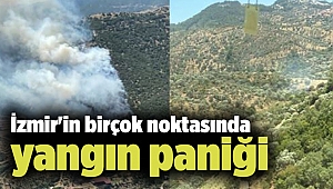 İzmir'in birçok noktasında yangın paniği