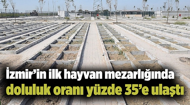 İzmir’in ilk hayvan mezarlığında doluluk oranı yüzde 35’e ulaştı