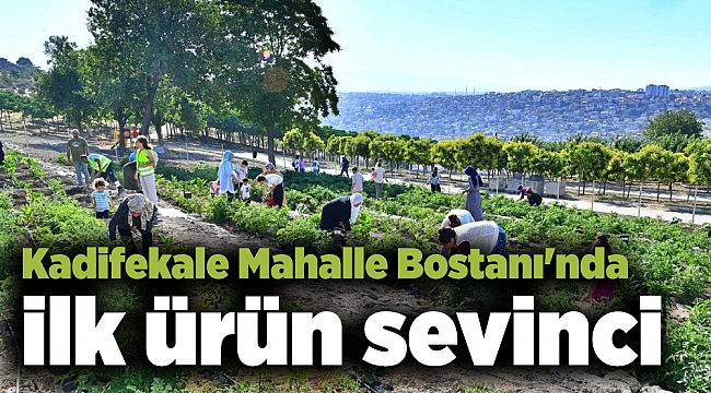 Kadifekale Mahalle Bostanı'nda ilk ürün sevinci