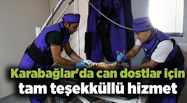 Karabağlar'da can dostlar için tam teşekküllü hizmet