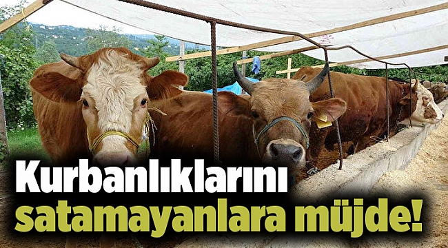 Kurbanlıklarını satamayanlara müjde!