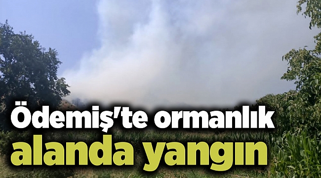 Ödemiş&#039;te ormanlık alanda yangın