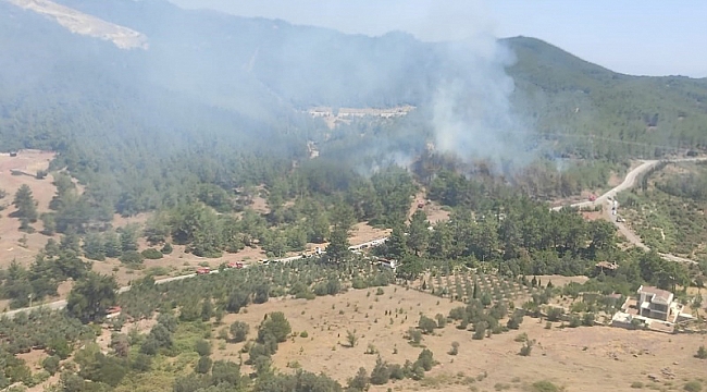 Seferihisar'daki orman yangınları kontrol altında