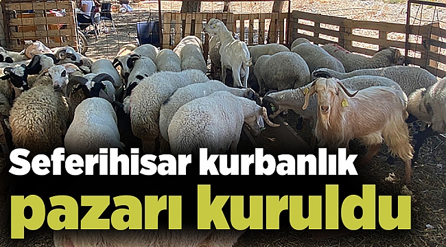 Seferihisar kurbanlık pazarı kuruldu