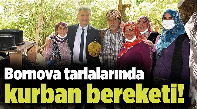 Bornova tarlalarında kurban bereketi!