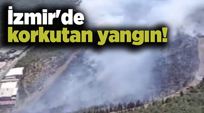 İzmir'de korkutan yangın!