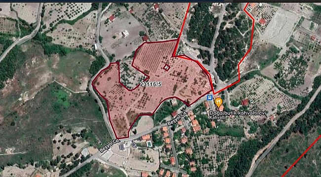 İZMİR TARIM ARAZİLERİ İZMİR DIŞI MAHKEMELERDE NASIL BÖLÜNÜYOR ARAŞTIRDIK…