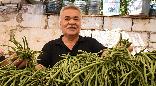 Karakızlar’da “Börülce Festivali” yapılacak