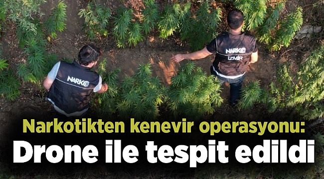Narkotikten kenevir operasyonu: Dron ile tespit edildi