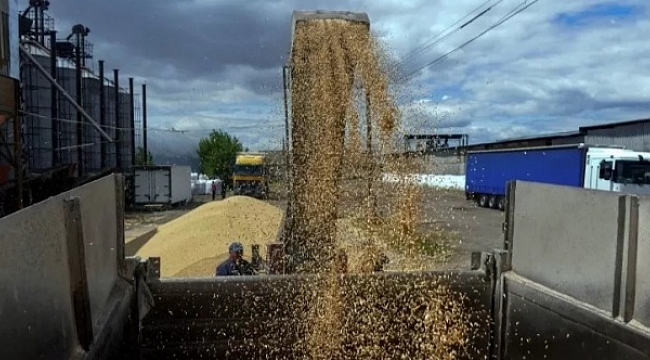 Tahıl sevkiyatı başlıyor