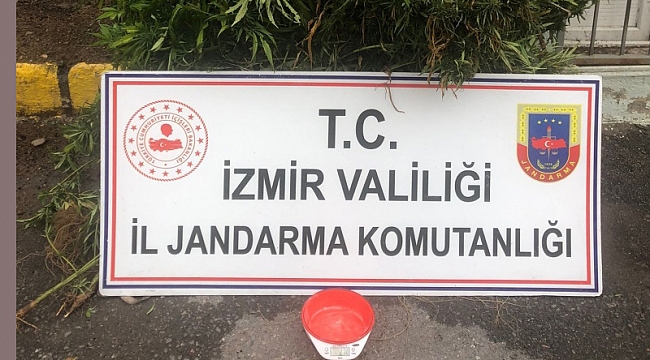 Zehir tacirlerine şok baskın: 63 şüpheliye işlem