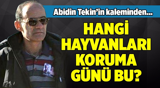 Abidin Tekin'in kaleminden...