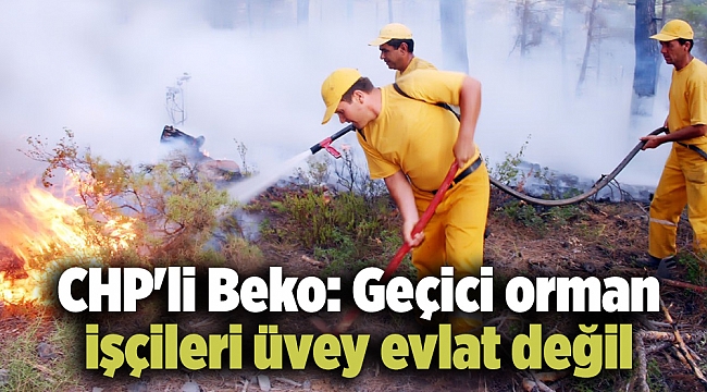 CHP'li Beko: Geçici orman işçileri üvey evlat değil