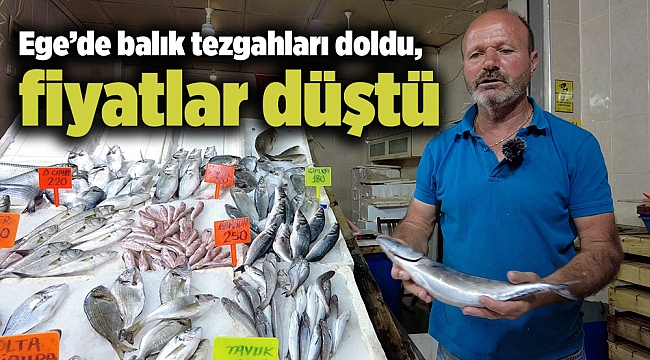 Ege’de balık tezgahları doldu, fiyatlar düştü