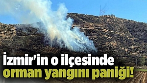 İzmir'in o ilçesinde orman yangını paniği!