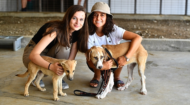 4 Ekim Dünya Hayvanları Koruma Günü Pako’da kutlanacak